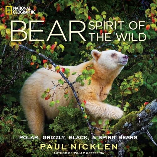 Bear: Spirit Of The Wild