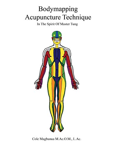 Bodymapping Acupuncture Technique: In The Spirit Of Master Tung