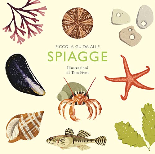 Piccola Guida Alle Spiagge