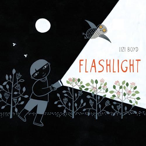Flashlight: (Picture Books, Wordless Books For Kids, Camping Books For Kids, Bedtime Story Books, Children'S Activity Books, Children'S Nature Books):