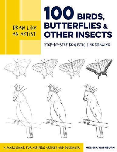 Draw Like An Artist: 100 Birds, Butterflies, And Other Insects: Step-By-Step Realistic Line Drawing - A Sourcebook For Aspiring Artists And Designers