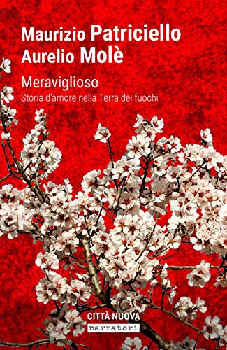 Meraviglioso. Storia D'Amore Nella «Terra Dei Fuochi»