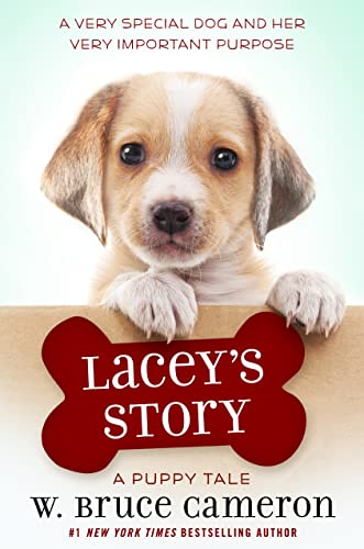 Lacey'S Story