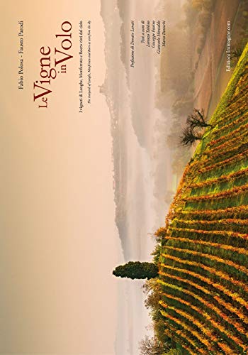 Le Vigne In Volo. I Vigneti Di Langhe, Monferrato E Roero Visti Dal Cielo. Ediz. Italiana E Inglese