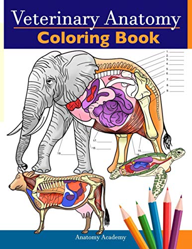 Veterinary Anatomy Coloring Book: Animals Physiology Self-Quiz Color Workbook For Studying And Relaxation | Perfect Gift For Vet Students And Even Adu