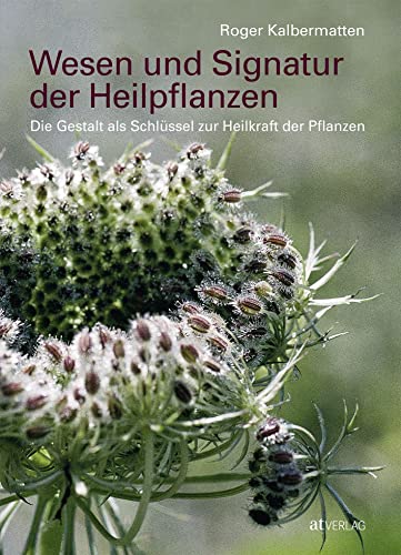 Wesen Und Signatur Der Heilpflanzen: Die Gestalt Als Schlüssel Zur Heilkraft Der Pflanzen