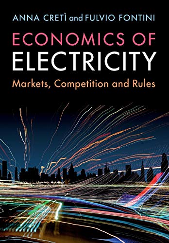 Economics Of Electricity: Markets, Competition And Rules
