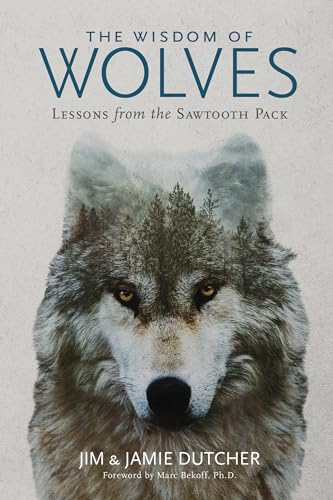 The Wisdom Of Wolves: Lessons From The Sawtooth Pack [Lingua Inglese]