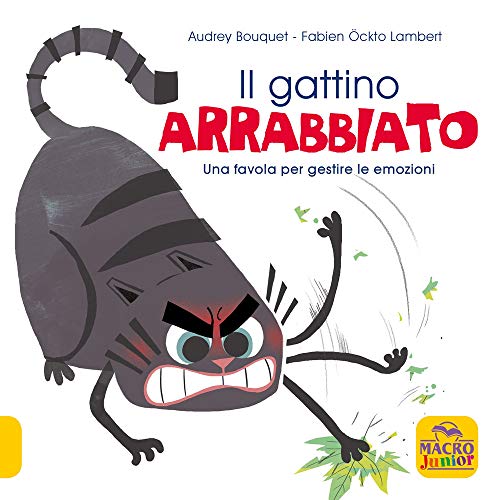 Il Gattino Arrabbiato. Una Favola Per Gestire Le Emozioni. Ediz. A Colori
