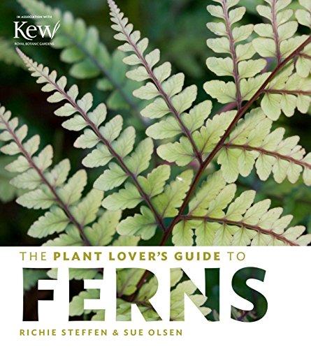 The Plant Lover'S Guide To Ferns
