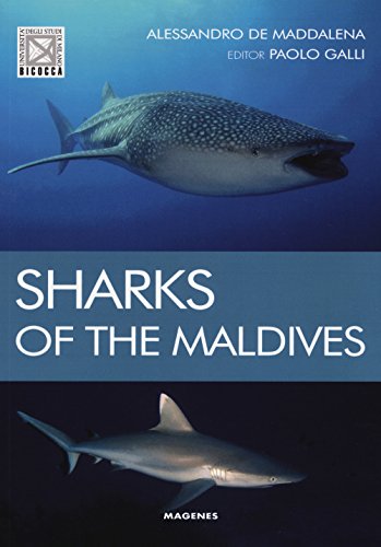Sharks Of The Maldives [Lingua Inglese]