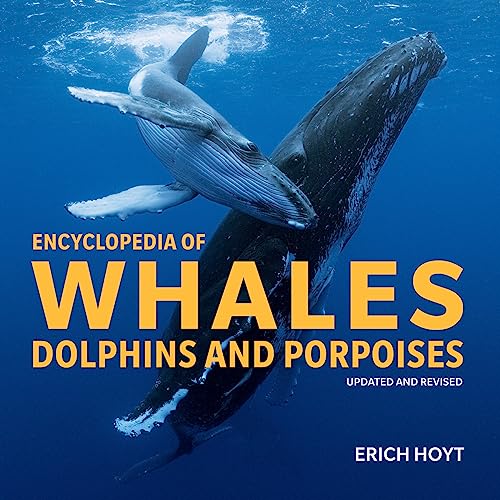 Encyclopedia Of Whales: Dolphins And Porpoises