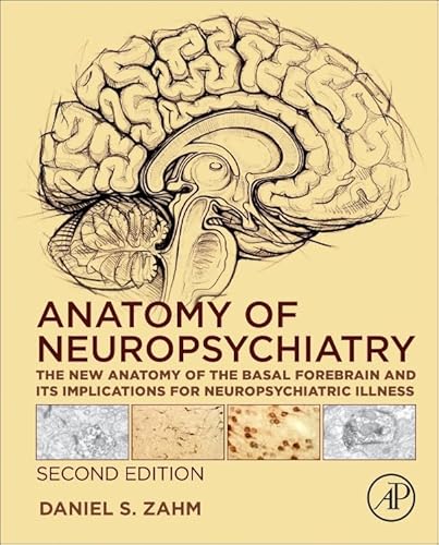 Anatomy Of Neuropsychiatry: The New Anatomy Of The Basal Forebrain And Its Implications For Neuropsychiatric Illness