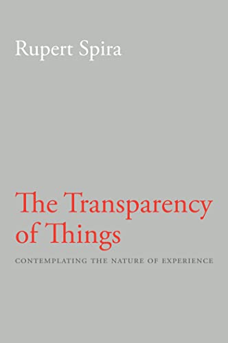 Transparency Of Things: Contemplating The Nature Of Experience