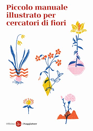 Piccolo Manuale Illustrato Per Cercatori Di Fiori. Ediz. A Colori