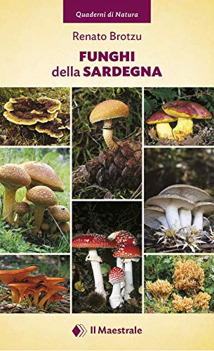 Funghi Della Sardegna. Ediz. Illustrata