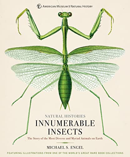 Innumerable Insects: The Story Of The Most Diverse And Myriad Animals On Earth
