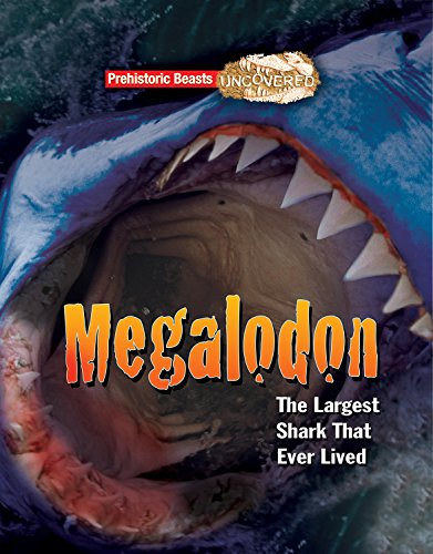 Megalodon: Prehistoric Beasts Uncovered - The Largest Shark That Ever Lived