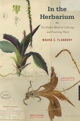 In The Herbarium: The Hidden World Of Collecting And Preserving Plants
