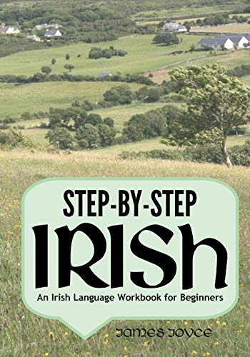Step-By-Step Irish: An Irish Language Workbook For Beginners