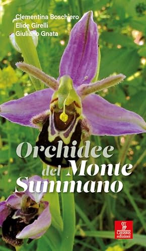 Orchidee Del Monte Summano