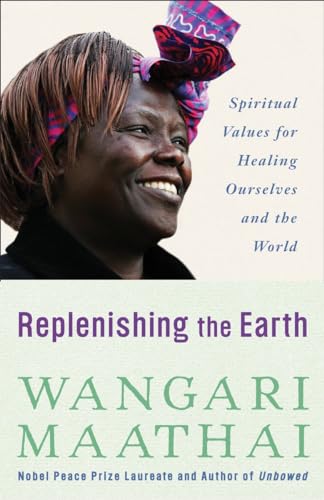 Replenishing The Earth: Spiritual Values For Healing Ourselves And The World