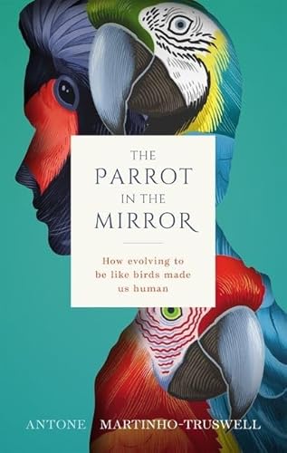 The Parrot In The Mirror: How Evolving To Be Like Birds Made Us Human