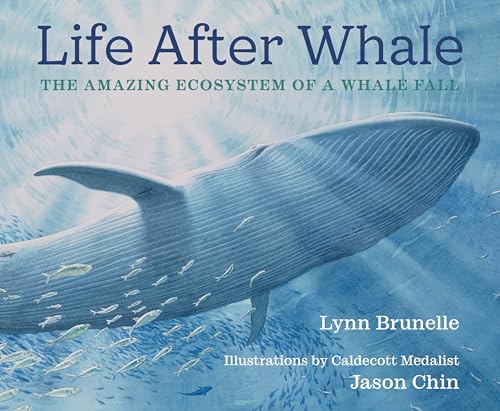Life After Whale: The Amazing Ecosystem Of A Whale Fall