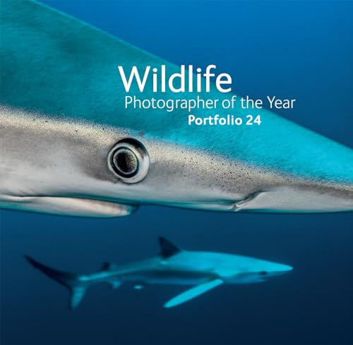 Wildlife Photographer Of The Year: Portfolio 24