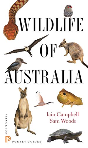 Wildlife Of Australia