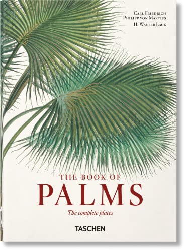 Martius. El Libro De Las Palmeras. 40Th Ed.