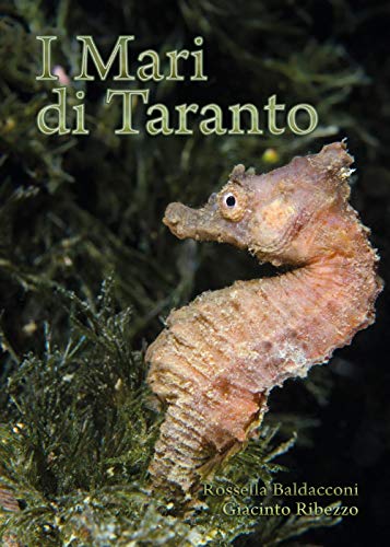 I Mari Di Taranto