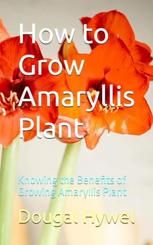 How To Grow Amaryllis Plant: Knowing The Benefits Of Growing Amaryllis Plant