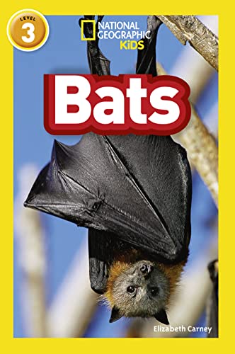 Bats: Level 3