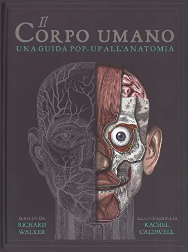 Il Corpo Umano. Una Guida Pop-Up All'Anatomia