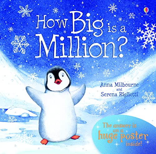 How Big Is A Million? (Usborne Picture Storybooks) (Picture Books)