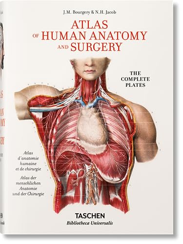 Bourgery. Atlas De Anatomía Humana Y Cirugía