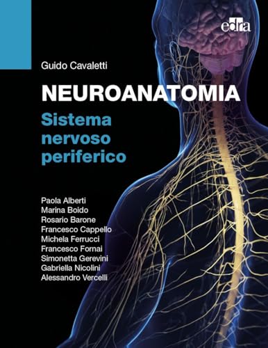 Neuroanatomia. Sistema Nervoso Periferico