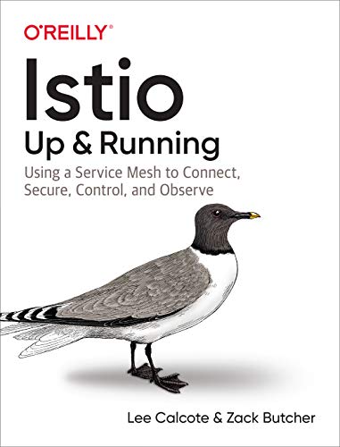 Istio: Up And Running: Using A Service Mesh To Connect, Secure, Control, And Observe