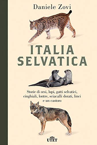 Italia Selvatica. Storie Di Orsi, Lupi, Gatti Selvatici, Cinghiali, Lontre, Sciacalli Dorati, Linci E Un Castoro