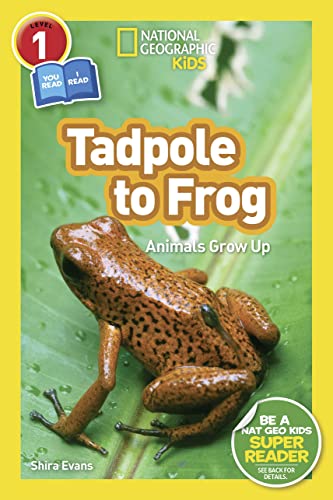 National Geographic Readers: Tadpole To Frog (L1/Coreader): Animals Grow Up