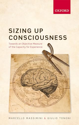 Sizing Up Consciousness: Towards An Objective Measure Of The Capacity For Experience