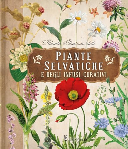 Atlante Illustrato Delle Piante Selvatiche E Degli Infusi Curativi