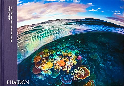 Two Worlds: Above And Below The Sea