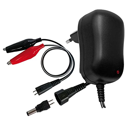 Caricabatterie Per Batterie Al Piombo Ermetiche 6V 600Ma Con Spinotto 5,5X2,1Mm E Connettori A Coccodrillo - Extracell