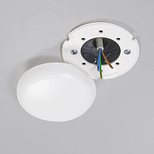 Heidemann 43175 Scatola Di Distrizione Per Soffitto (Ø) 100 Mm 1 Pz