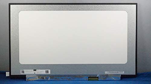 Msi Ge75 8Sg Raider Ge75 N173Hce-G33 C1 Schermo Ips Da 17,3 Pollici Display Lcd Led Fhd 40 Pin Edp 144Hz Senza Staffa Opaca, Si Adatta Anche A B173Han