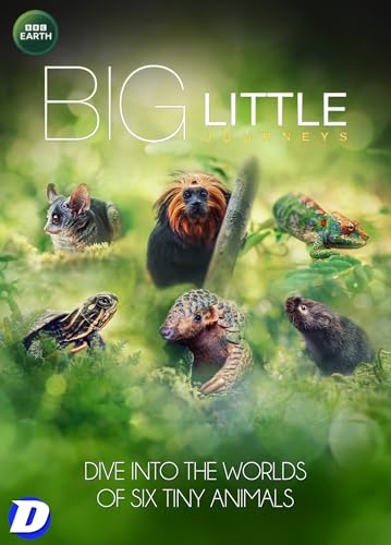 Big Little Journeys Dvd