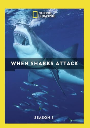 Mod-Ng-When Sharks Attack - Season 5