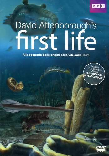 First Life - L'Origine Della Vita